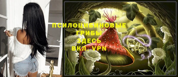 спайс Аркадак