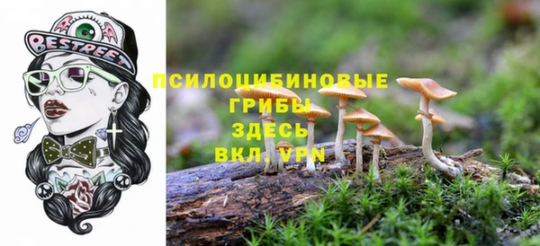 спайс Аркадак